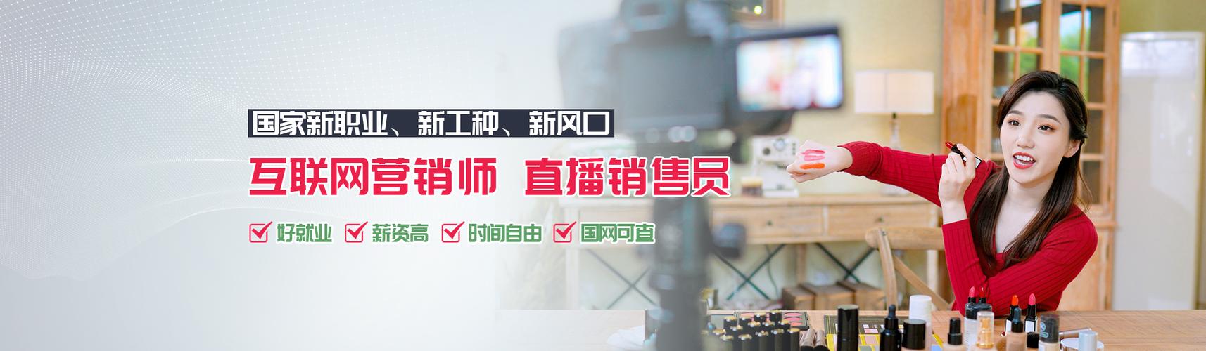 互联网营销师与互联网销售 数字时代的双轮驱动